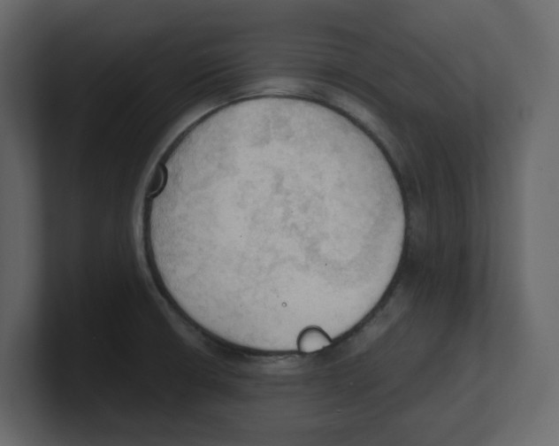 X0000100481426200807111052