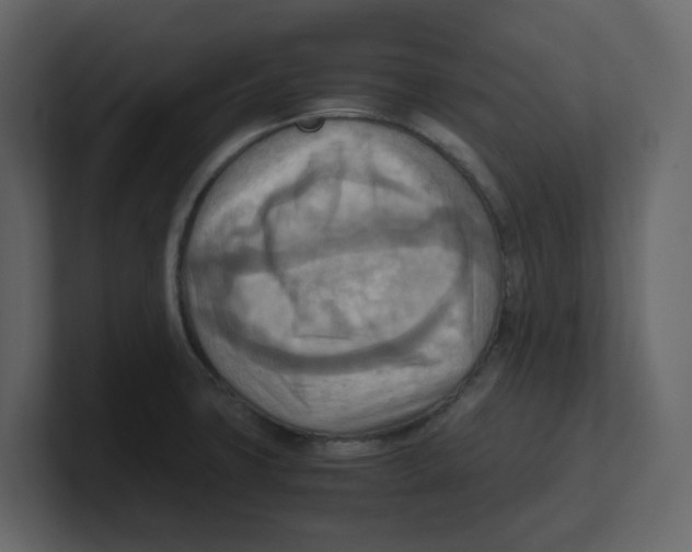 X0000100481427200807111052