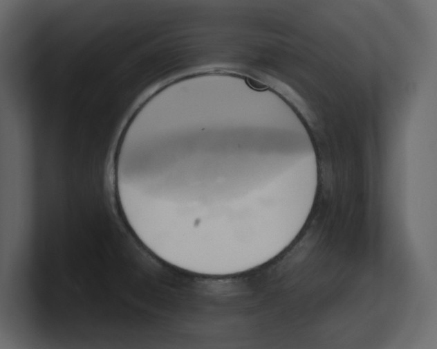 X0000100481428200807111052