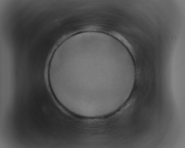 X0000100481429200807111052