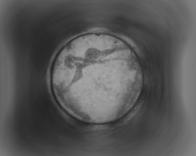 X0000100481430200807111052