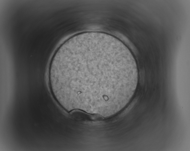 X0000100481432200807111052