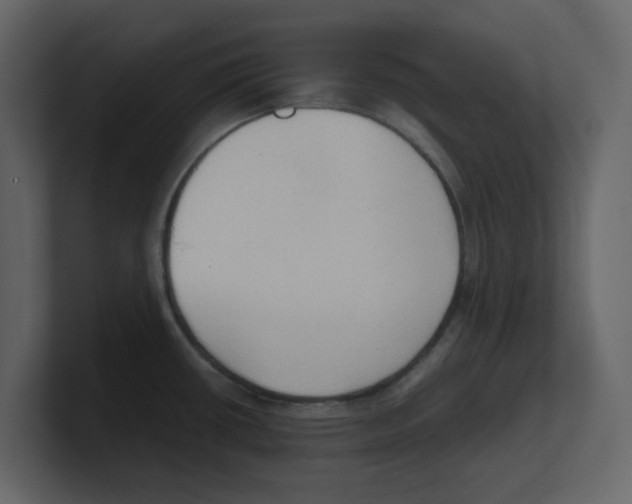 X0000100481434200807111052