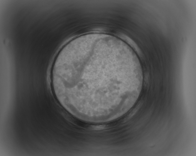 X0000100481435200807111052