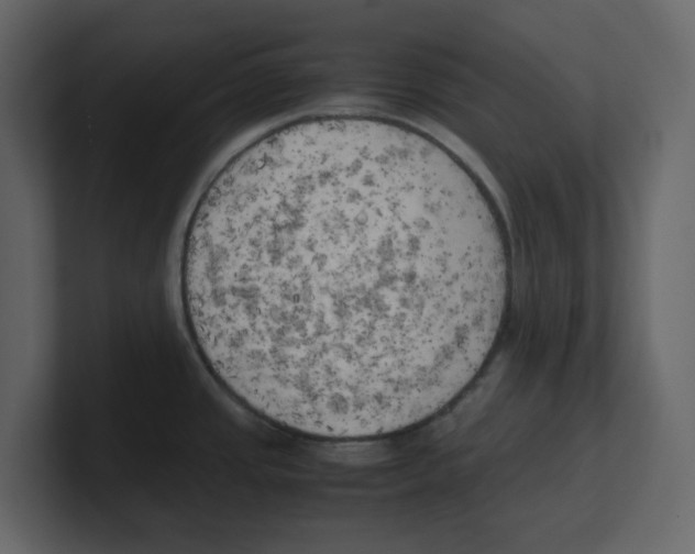 X0000100481437200807111052