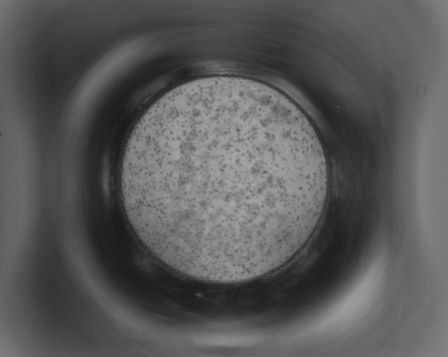 X0000100481438200807111052