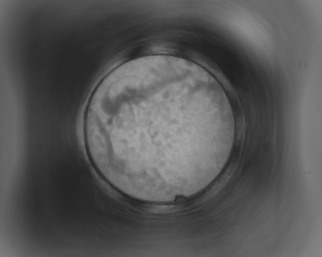 X0000100481439200807111052