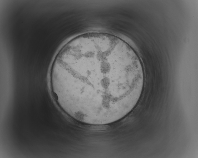 X0000100481440200807111052