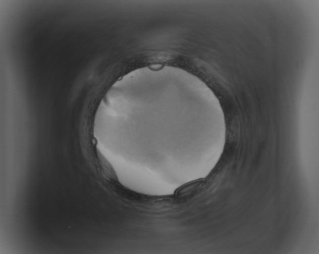 X0000100481441200807111052