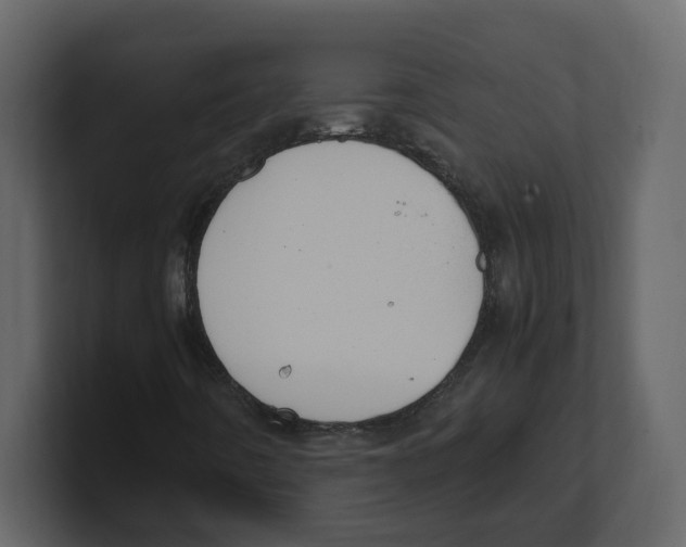 X0000100481442200807111052