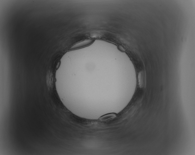 X0000100481443200807111052