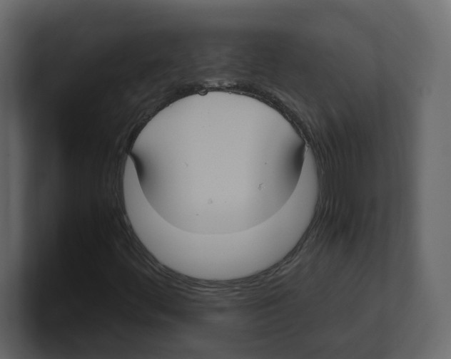 X0000100481444200807111052