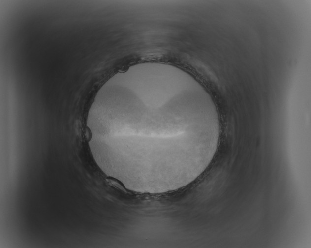 X0000100481445200807111052