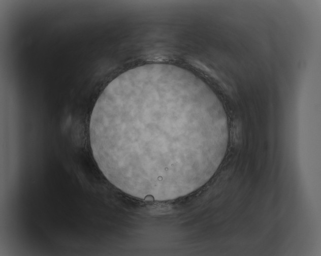 X0000100481446200807111052