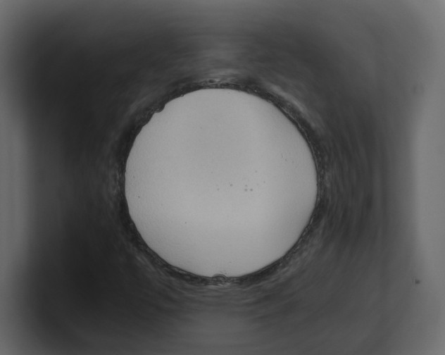 X0000100481447200807111052