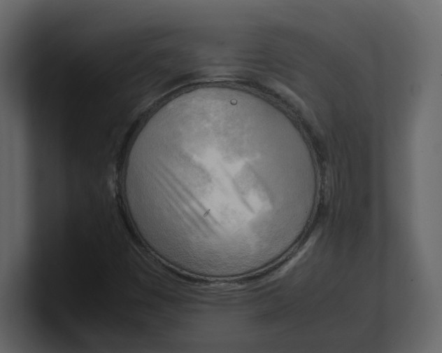 X0000100481449200807111051