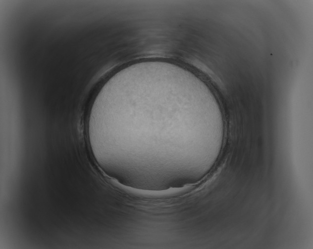 X0000100481450200807111051