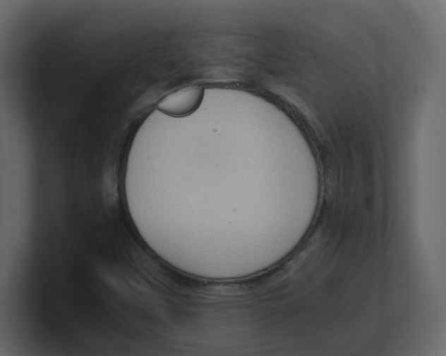 X0000100481451200807111051