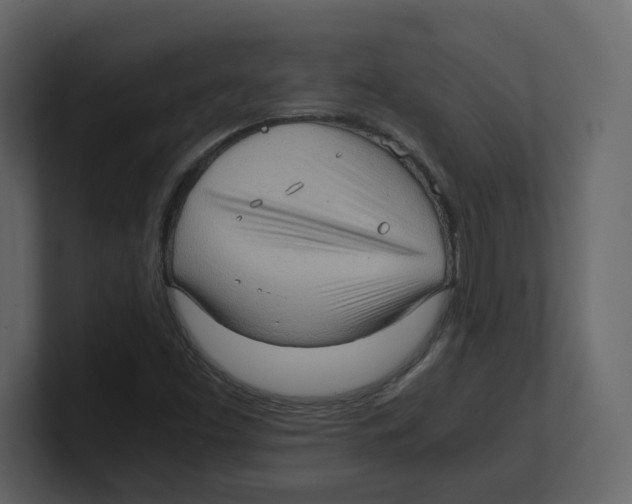 X0000100481453200807111051