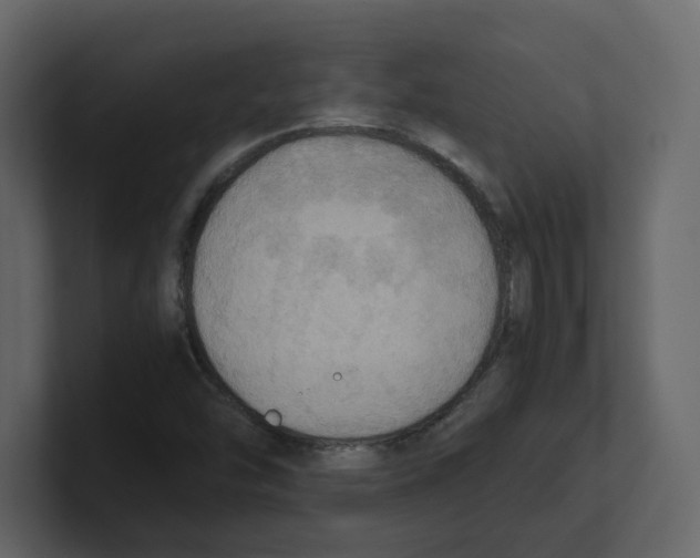 X0000100481454200807111051