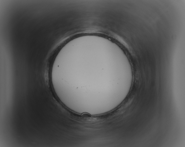 X0000100481456200807111051