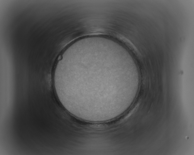 X0000100481457200807111051