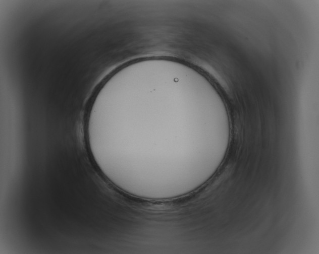 X0000100481460200807111051