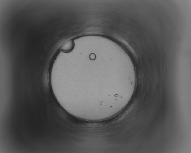 X0000100481461200807111051