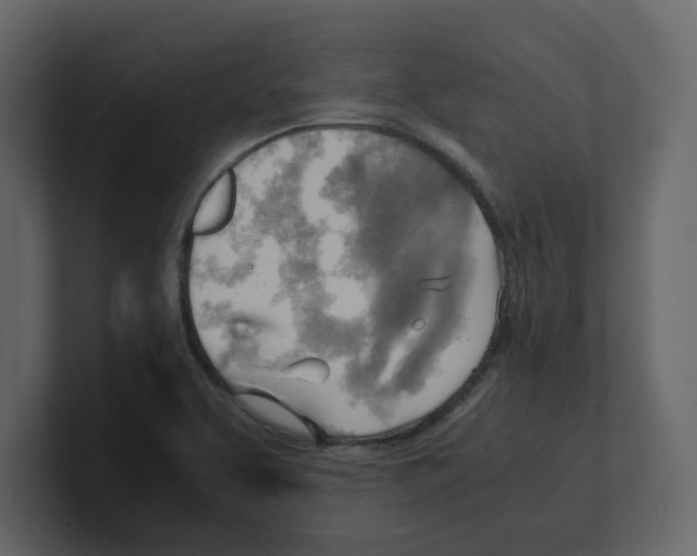 X0000100481463200807111051