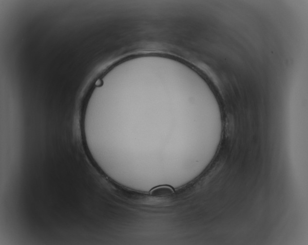 X0000100481464200807111051