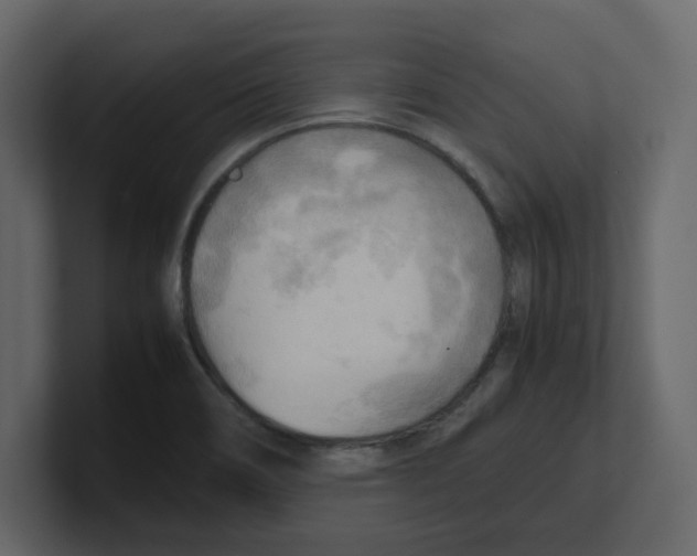 X0000100481466200807111051