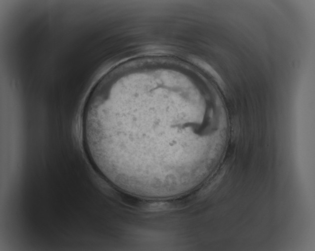 X0000100481467200807111051