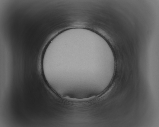 X0000100481469200807111051