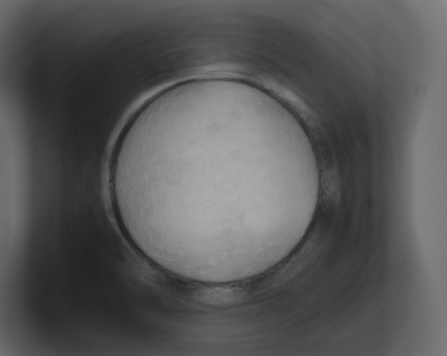 X0000100481470200807111051