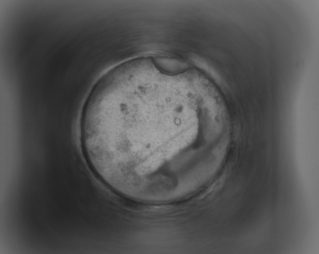 X0000100481471200807111051