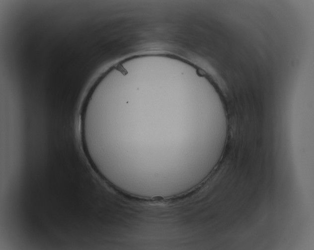 X0000100481472200807111051