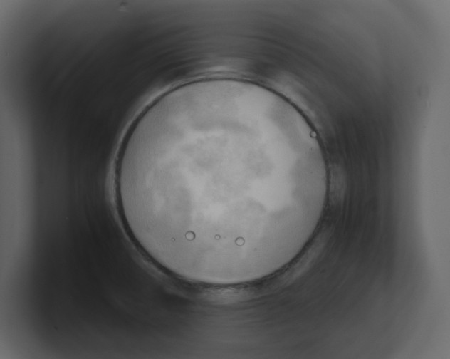 X0000100481474200807111051