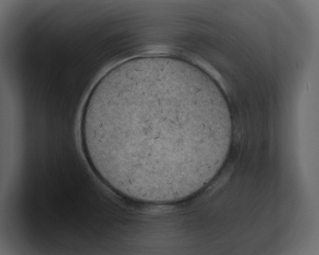 X0000100481475200807111051