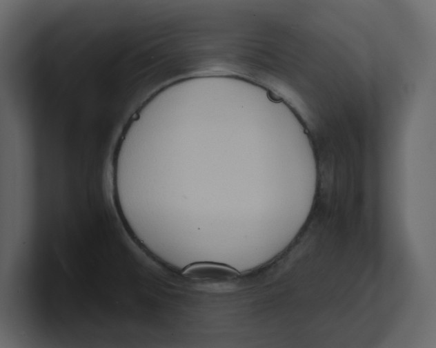 X0000100481476200807111051