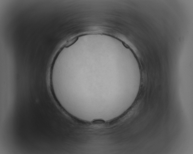 X0000100481477200807111051