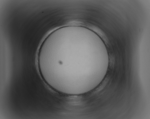 X0000100481478200807111051