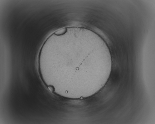 X0000100481479200807111051