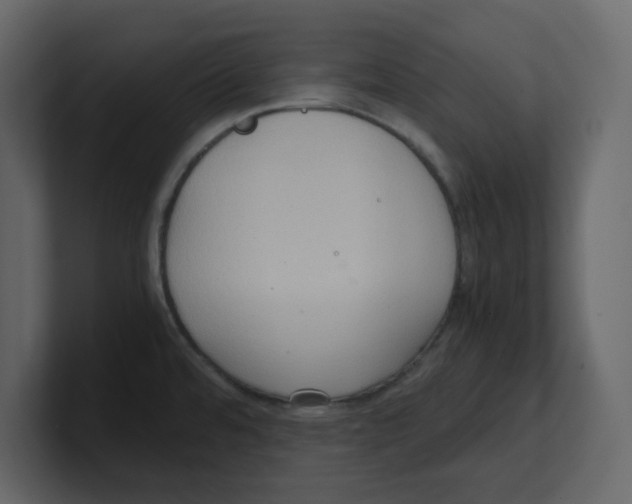 X0000100481480200807111051