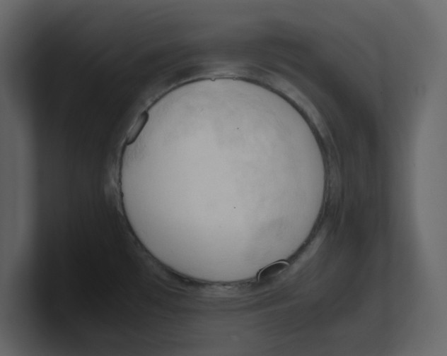 X0000100481481200807111051