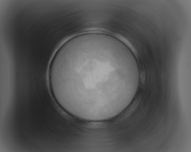 X0000100481482200807111051