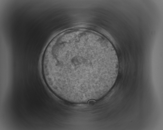 X0000100481483200807111051