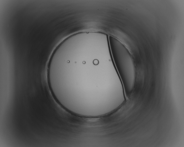 X0000100481484200807111051