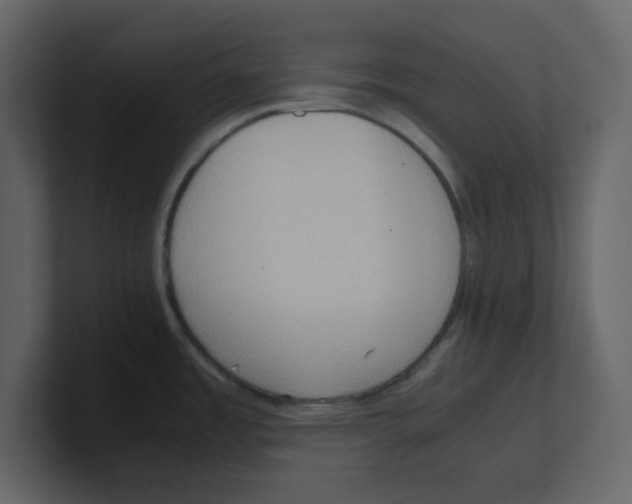 X0000100481485200807111051