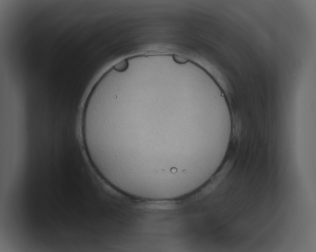 X0000100481486200807111051