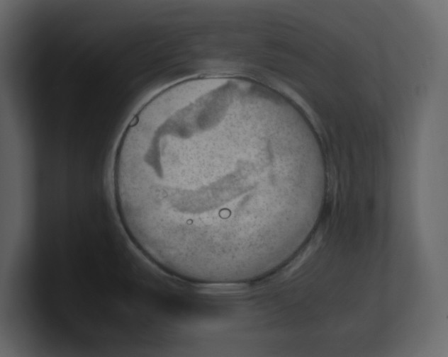 X0000100481487200807111051